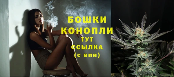 ешки Гусиноозёрск